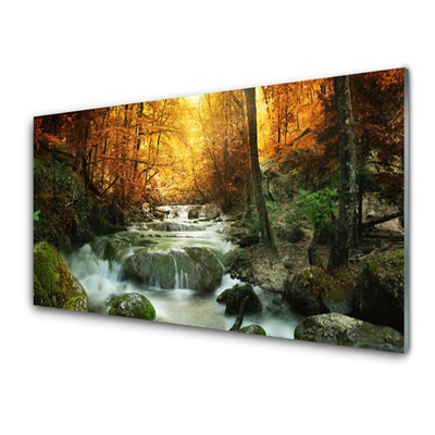 Quadro acrilico Cascata Natura Foresta autunnale