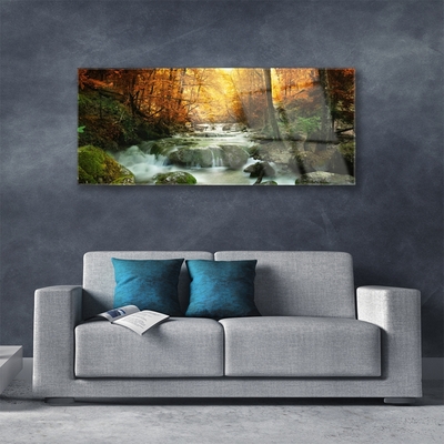 Quadro acrilico Cascata Natura Foresta autunnale