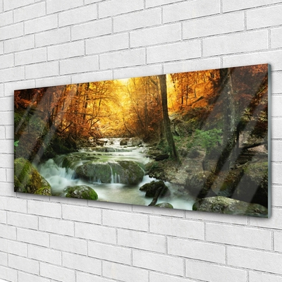 Quadro acrilico Cascata Natura Foresta autunnale