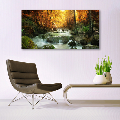 Quadro acrilico Cascata Natura Foresta autunnale