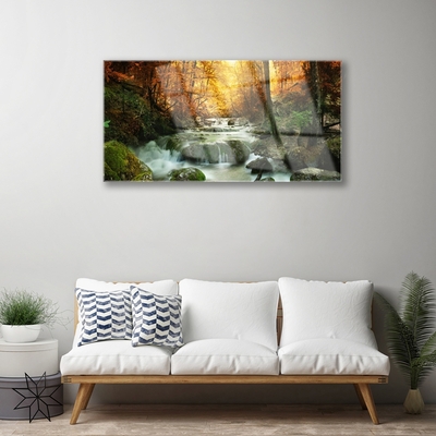 Quadro acrilico Cascata Natura Foresta autunnale