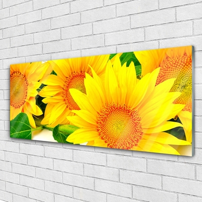 Quadro su vetro acrilico Girasole Fiore Natura