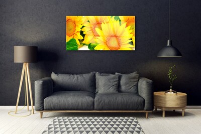 Quadro su vetro acrilico Girasole Fiore Natura