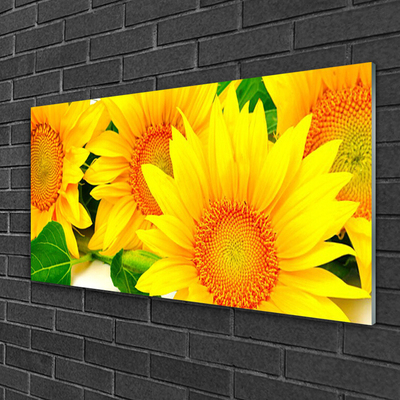 Quadro su vetro acrilico Girasole Fiore Natura