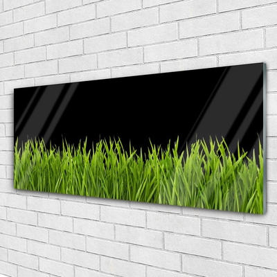 Quadro in vetro acrilico Natura dell'erba verde