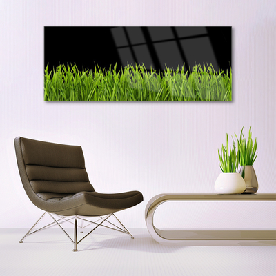 Quadro in vetro acrilico Natura dell'erba verde