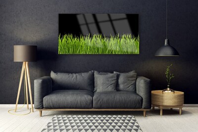 Quadro in vetro acrilico Natura dell'erba verde