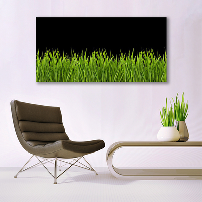 Quadro in vetro acrilico Natura dell'erba verde