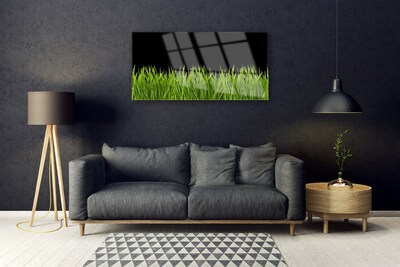 Quadro in vetro acrilico Natura dell'erba verde