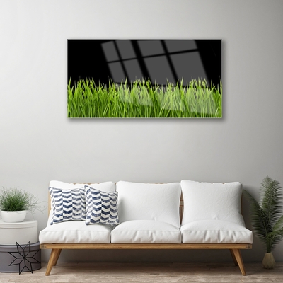 Quadro in vetro acrilico Natura dell'erba verde