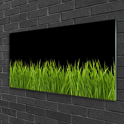Quadro in vetro acrilico Natura dell'erba verde