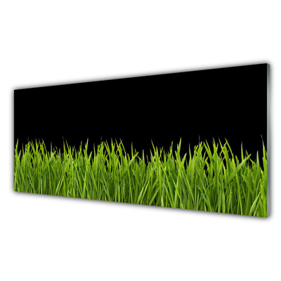 Quadro in vetro acrilico Natura dell'erba verde