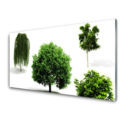 Quadro in vetro acrilico Alberi Natura Natura Natura