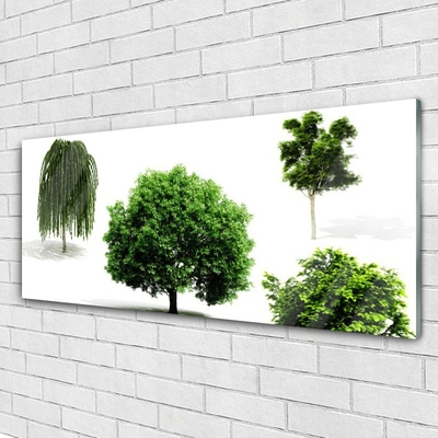 Quadro in vetro acrilico Alberi Natura Natura Natura