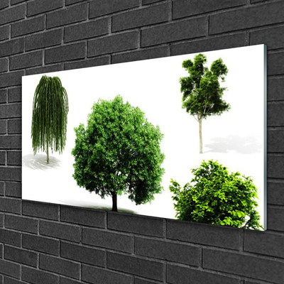 Quadro in vetro acrilico Alberi Natura Natura Natura