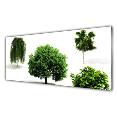 Quadro in vetro acrilico Alberi Natura Natura Natura