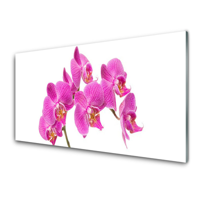 Quadro vetro acrilico Fiori di orchidea Natura