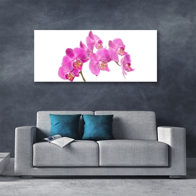 Quadro vetro acrilico Fiori di orchidea Natura