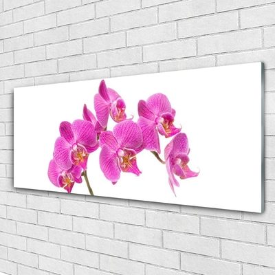 Quadro vetro acrilico Fiori di orchidea Natura