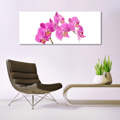 Quadro vetro acrilico Fiori di orchidea Natura