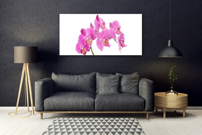 Quadro vetro acrilico Fiori di orchidea Natura