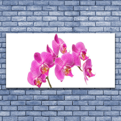 Quadro vetro acrilico Fiori di orchidea Natura