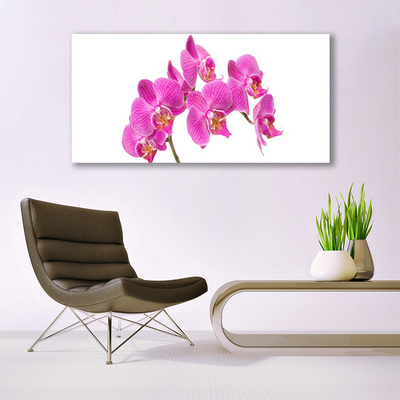 Quadro vetro acrilico Fiori di orchidea Natura