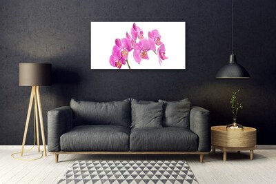 Quadro vetro acrilico Fiori di orchidea Natura