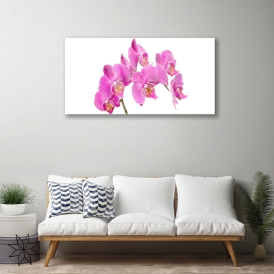 Quadro vetro acrilico Fiori di orchidea Natura