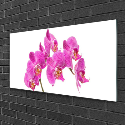 Quadro vetro acrilico Fiori di orchidea Natura