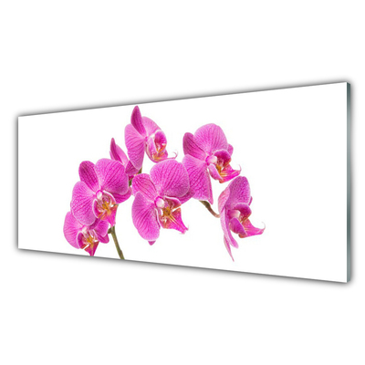 Quadro vetro acrilico Fiori di orchidea Natura