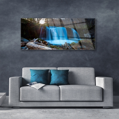 Quadro in vetro acrilico Cascata della natura