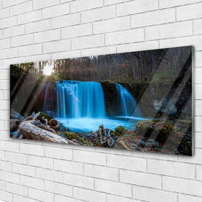 Quadro in vetro acrilico Cascata della natura