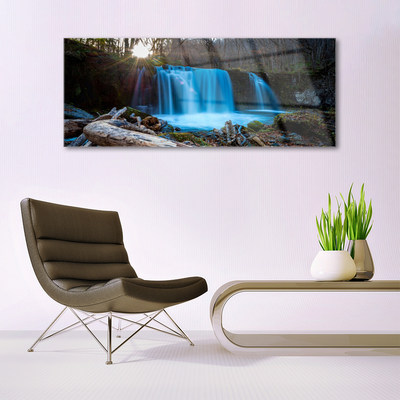 Quadro in vetro acrilico Cascata della natura