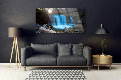 Quadro in vetro acrilico Cascata della natura