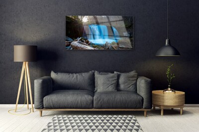 Quadro in vetro acrilico Cascata della natura