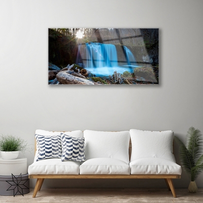 Quadro in vetro acrilico Cascata della natura