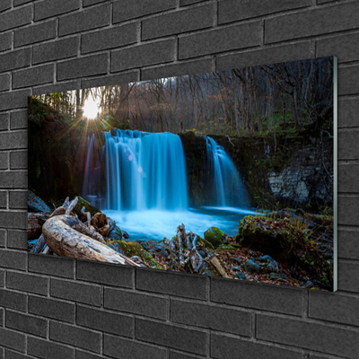 Quadro in vetro acrilico Cascata della natura