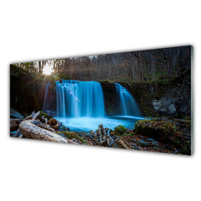 Quadro in vetro acrilico Cascata della natura