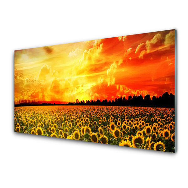 Quadro acrilico Fiori di girasoli di prato