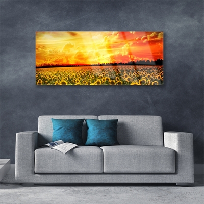 Quadro acrilico Fiori di girasoli di prato