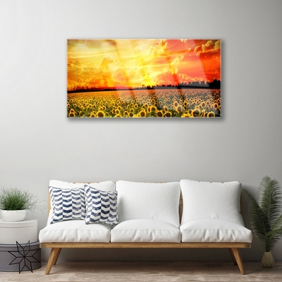 Quadro acrilico Fiori di girasoli di prato