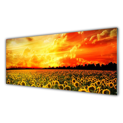 Quadro acrilico Fiori di girasoli di prato