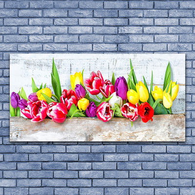 Quadro in vetro acrilico Tulipani, fiori, natura