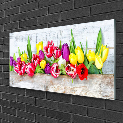 Quadro in vetro acrilico Tulipani, fiori, natura