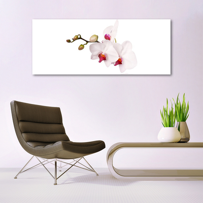 Quadro su vetro acrilico Fiori di orchidea della natura