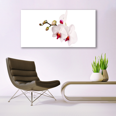 Quadro su vetro acrilico Fiori di orchidea della natura