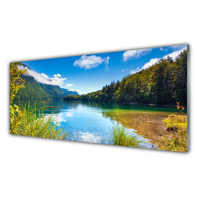 Quadro acrilico Foresta Montagna Natura Lago