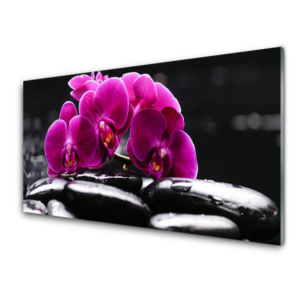 Quadro su vetro acrilico Pietre Zen dell'Orchid Spa