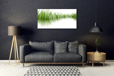 Quadro vetro acrilico Erba Natura Pianta